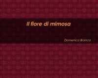 /album/domenico-branca-path/product-thumbnail-1-jpg1/